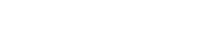 DIGITAL DATA SOLUTION INC.